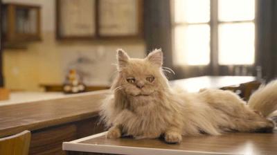 Cramel