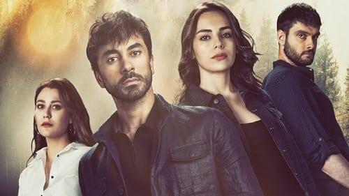 Sužeista širdis filmas žiurėti online