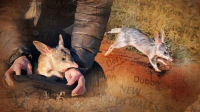 Australian Story