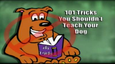 Funniest Pets & People