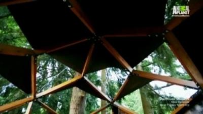 Treehouse Masters
