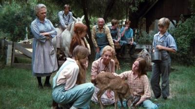 The Waltons