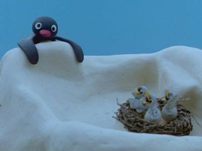 Pingu