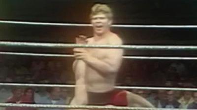 WWF All-Star Wrestling