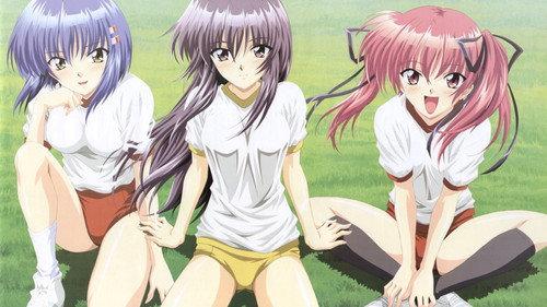 つよきす Cool×Sweet filmas žiurėti online