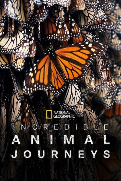Incredible Animal Journeys filmas online