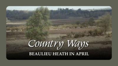 Country Ways