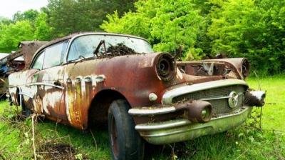 Roadkill
