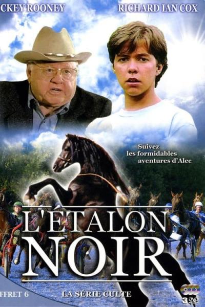The Adventures of the Black Stallion filmas online