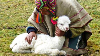 Welt der Tiere