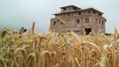 Abandoned Engineering