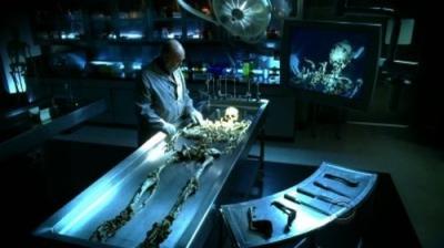 CSI: Kriminalistai