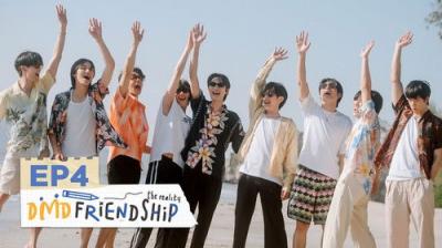 DMD Friendship The Reality