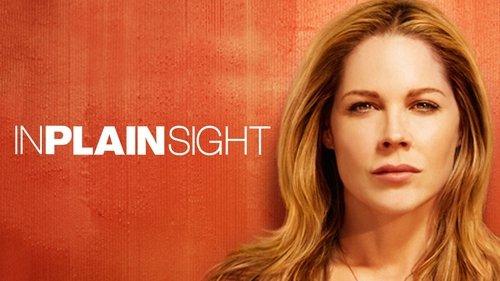 In Plain Sight filmas žiurėti online
