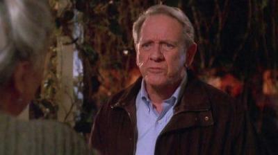 Judging Amy