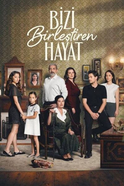Bizi Birleştiren Hayat filmas online