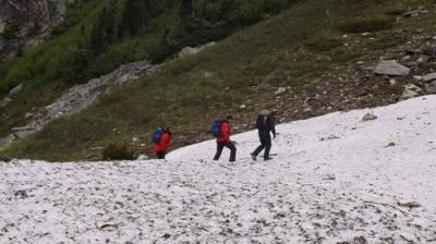 Man vs. Wild