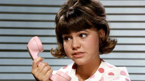 Gidget filmas žiurėti online