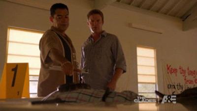 The Glades