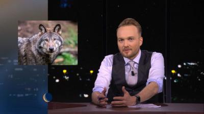 De Avondshow met Arjen Lubach