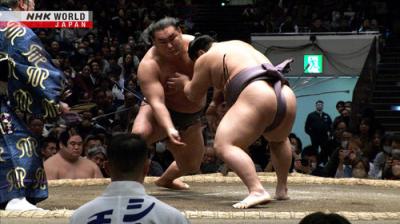 GRAND SUMO Highlights