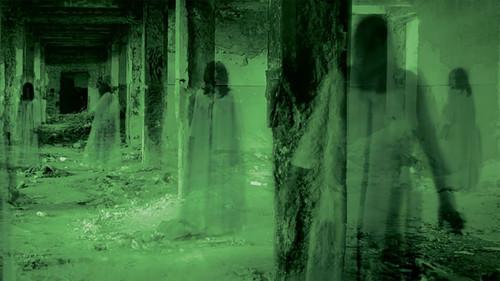 Paranormal Caught on Camera filmas žiurėti online