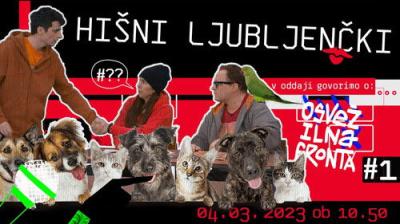 Osvežilna fronta