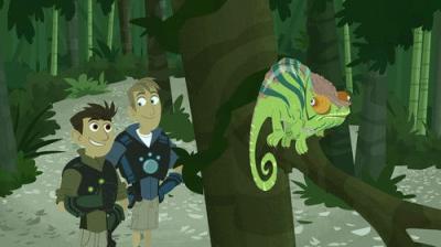 Wild Kratt