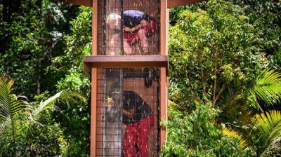 I'm a Celebrity...Get Me Out of Here!