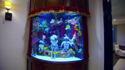 Tanked