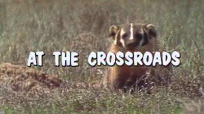 Marty Stouffer's Wild America