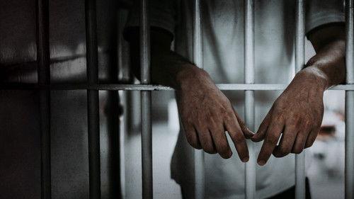 120 Hours Behind Bars filmas žiurėti online