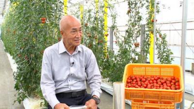 Japan's Top Inventions