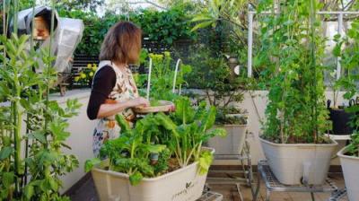 Gardening Australia