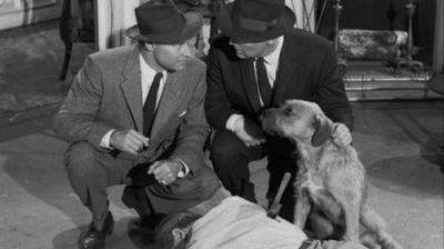 Perry Mason