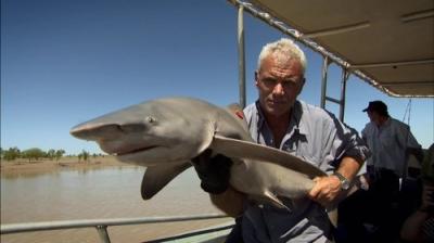River Monsters
