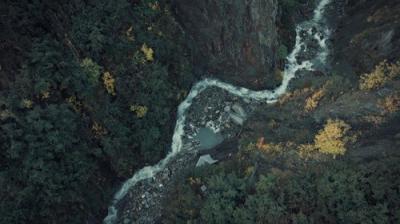 Gold Rush: White Water