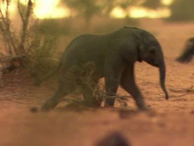 Didžiosios migracijos