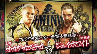 New Japan Pro Wrestling