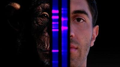 Didžiosios Visatos Paslaptys su Morganu Frimanu