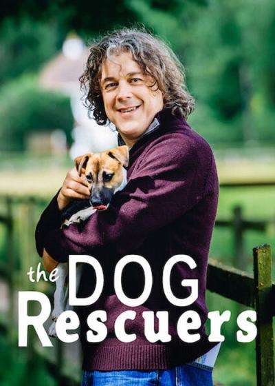 The Dog Rescuers with Alan Davies filmas online
