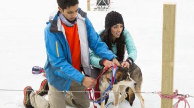 The Amazing Race Canada