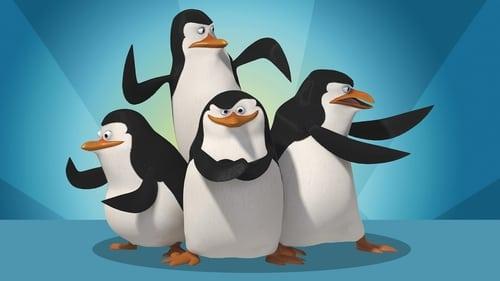 Madagaskaro pingvinai filmas žiurėti online