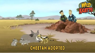 Wild Kratts