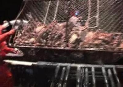 Deadliest Catch