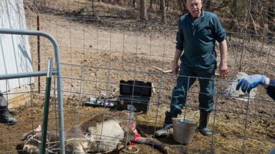 The Incredible Dr. Pol