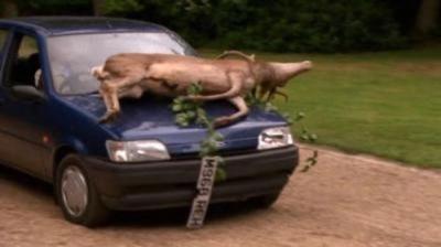 The Worst Week of My Life