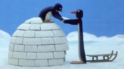 Pingu