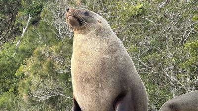 Taronga: Who's Who In The Zoo