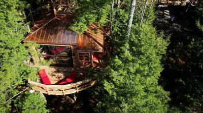 Treehouse Masters
